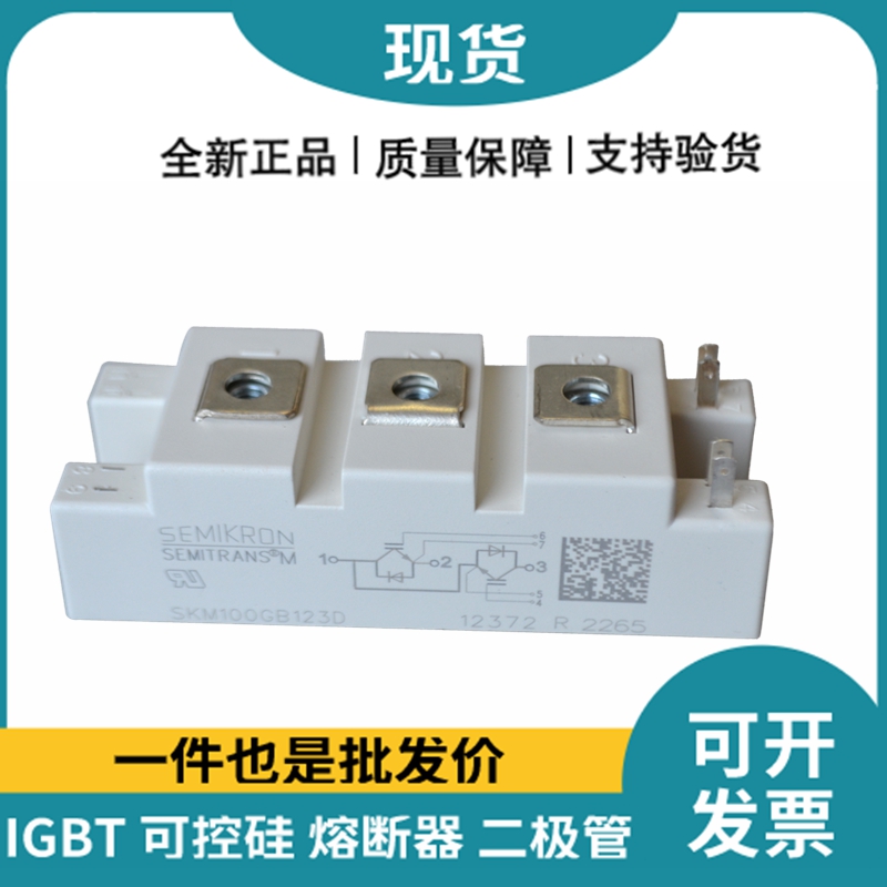 西門康SEMIKRON 功率IGBT模塊 SKM100GB123D